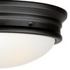 Westinghouse Fixture Ceiling Outdr Flush-Mount 60W 2-Light Meadowbrook 13In MtBlack Frost Glass 6578100